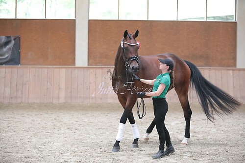 Siegerehrung Stutenleistung0082