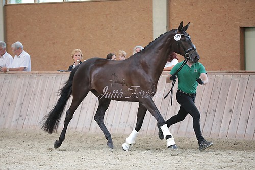 Freispringen 339