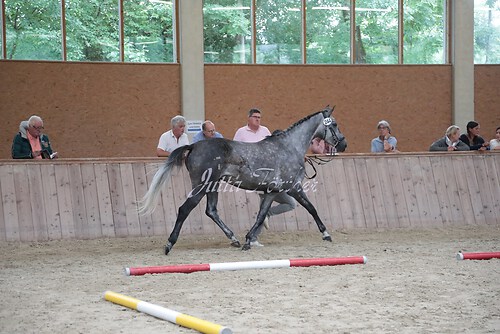 Siegerehrung 256