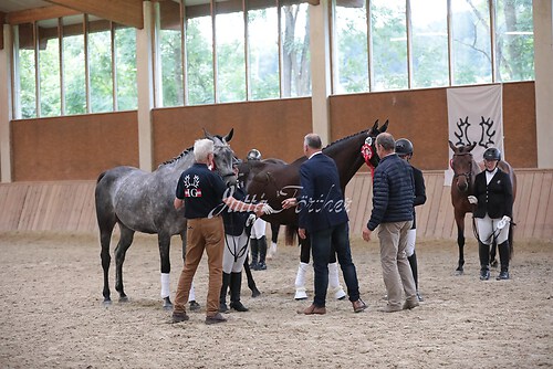 Siegerehrung Stutenleistung0170