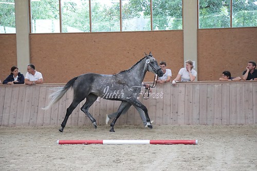 Siegerehrung 253