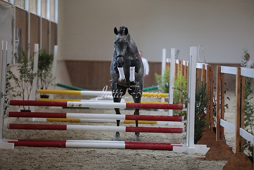 Freispringen 258