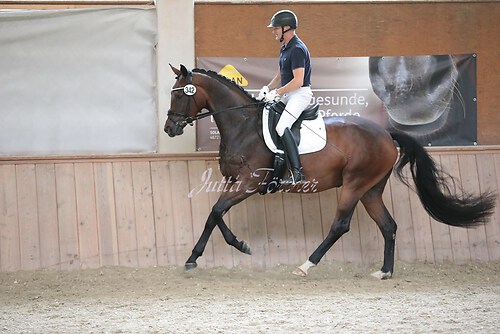 Stutenleistung0078