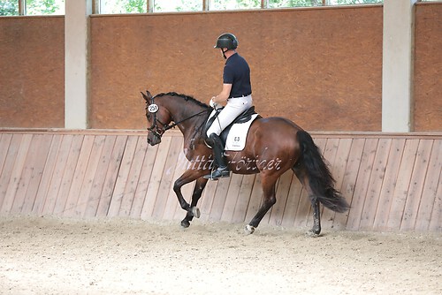Stutenleistung0217