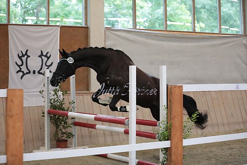 Herzogin Kate02