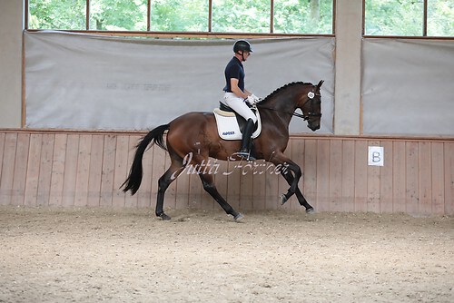 Stutenleistung0138