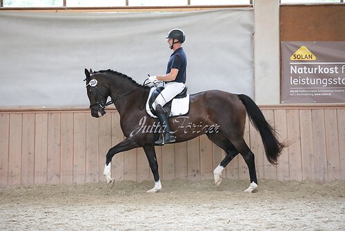 Stutenleistung0035
