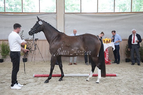 Siegerehrung 287