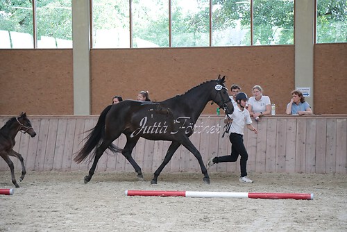 Siegerehrung 218
