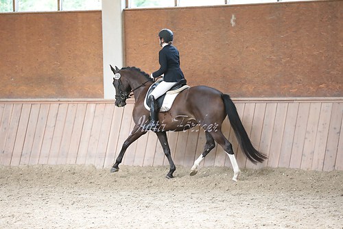 Stutenleistung0189