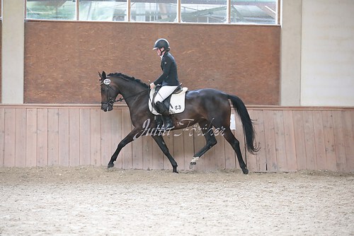 Stutenleistung0119