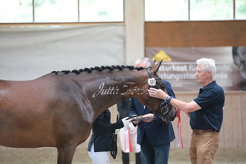 Siegerehrung Stutenleistung0060