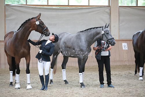 Siegerehrung Stutenleistung0000