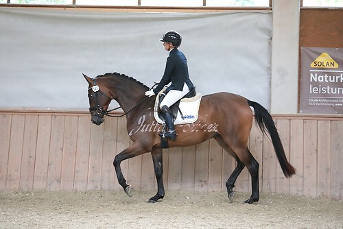 Stutenleistung0175