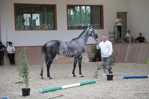 Siegerehrung 147