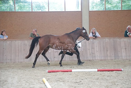 Siegerehrung 231