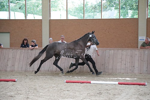 Siegerehrung 67