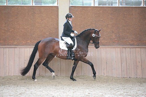 Stutenleistung0107