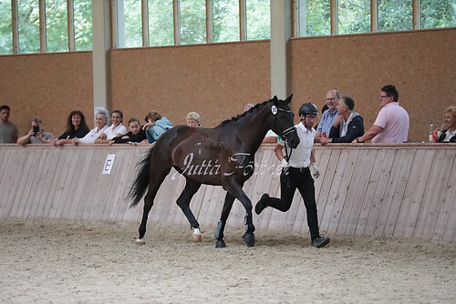 Freispringen 248