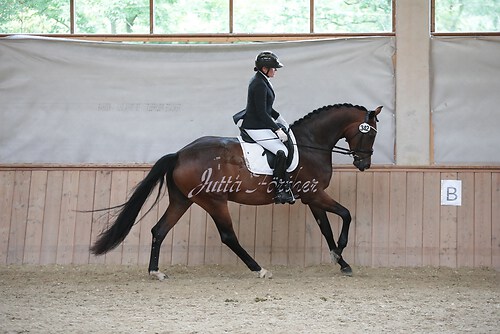 Stutenleistung0089