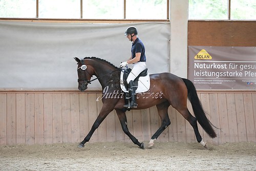Stutenleistung0083