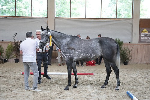 Siegerehrung 117
