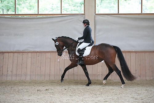 Stutenleistung0098