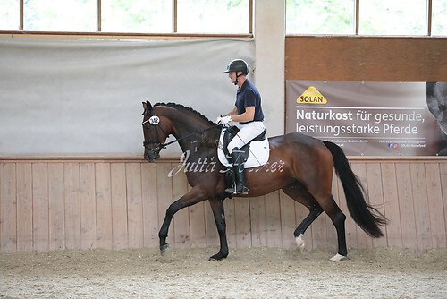 Stutenleistung0084