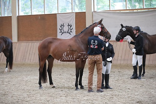 Siegerehrung Stutenleistung0137