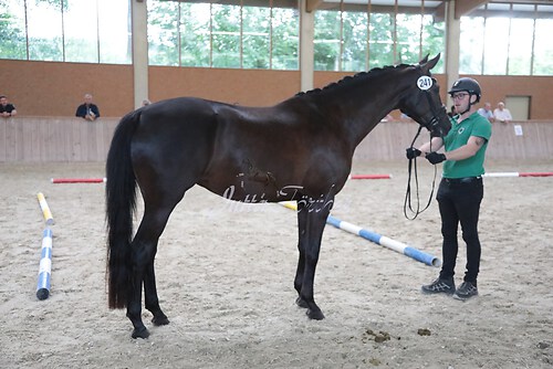 Siegerehrung 266