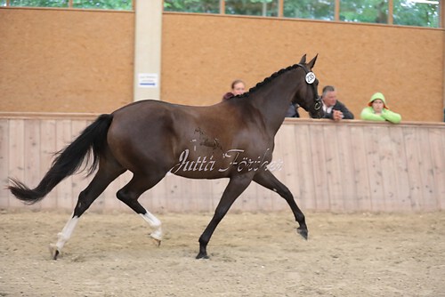 Tizia01