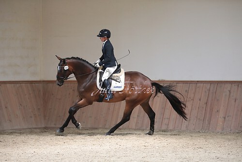 Stutenleistung0159