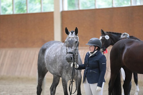 Siegerehrung Stutenleistung0144
