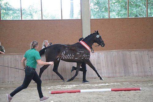 Siegerehrung 6