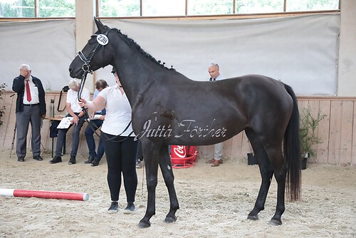 Siegerehrung 249