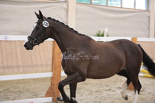 Tizia05