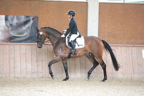 Stutenleistung0178