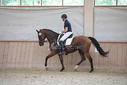 Stutenleistung0047