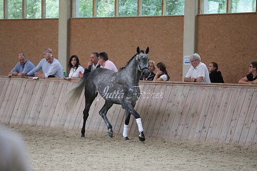 Freispringen 269