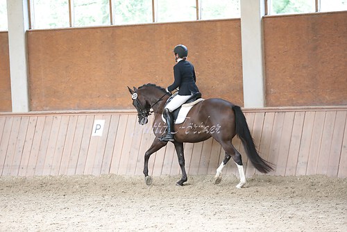 Stutenleistung0188