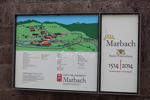 Asil Araber Festival750