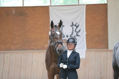 Siegerehrung Stutenleistung0010