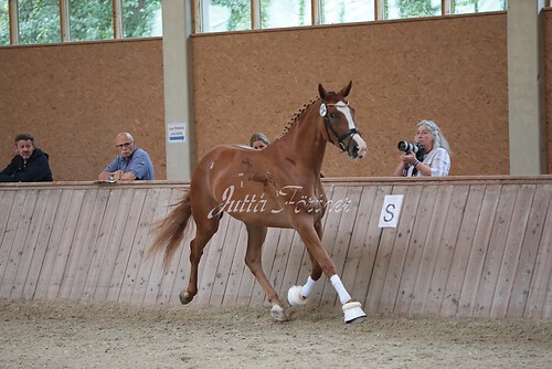 Freispringen 432