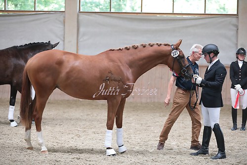 Siegerehrung Stutenleistung0028