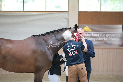 Siegerehrung Stutenleistung0061
