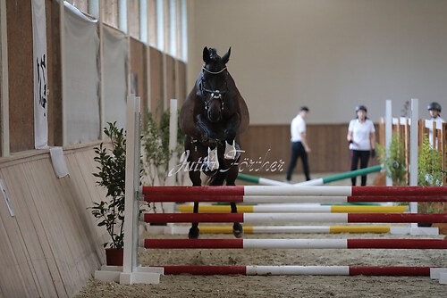 Freispringen 396