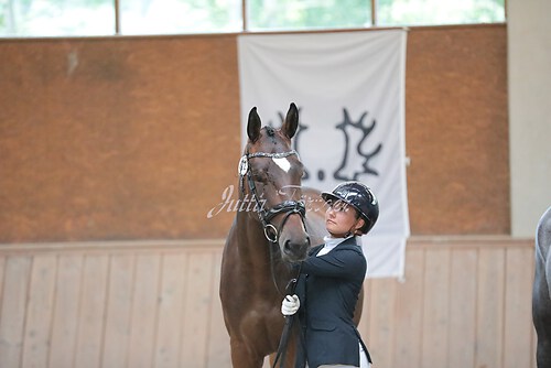 Siegerehrung Stutenleistung0012