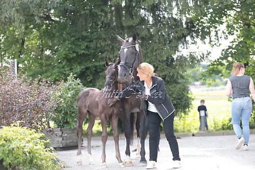 Siegerehrung 346