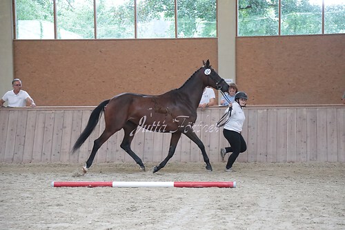 Siegerehrung 229