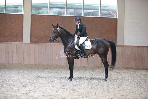 Stutenleistung0116
